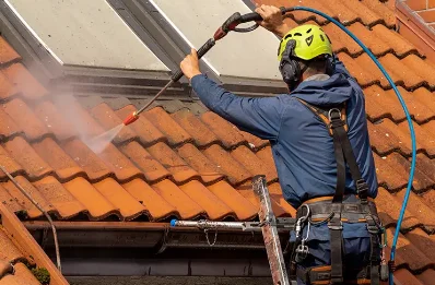 Démoussage et hydrofuge de toiture au Vernet